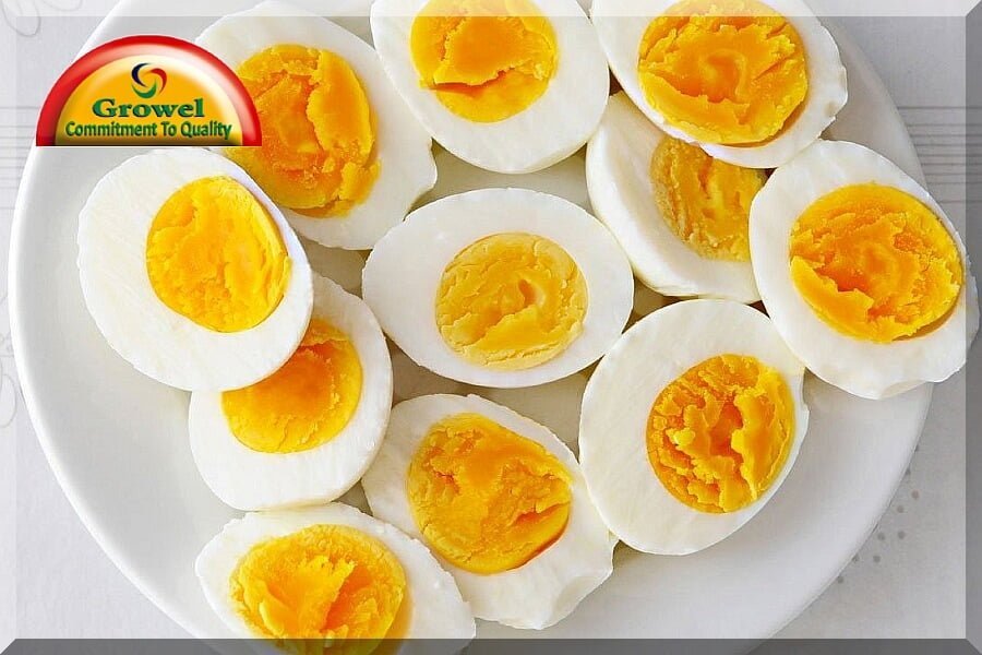 संडे हो या मंडे रोज खाओ अंडे