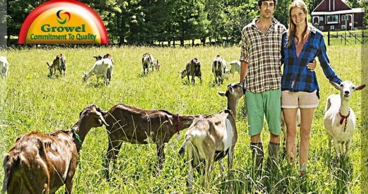 Goat Farming Guide