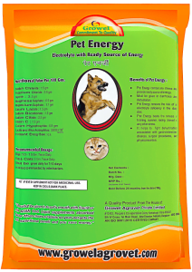 Energy Drink for Dog & Cat