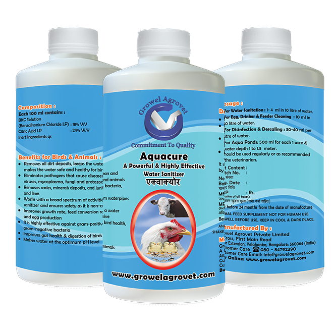 water sanitiser for poultry