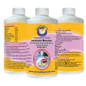 poultry immunity tonic,Immunity Builder for Cattle & Poultry