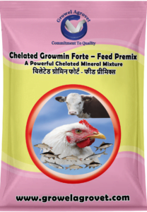 Chelated Minerals Mixture for Poultry,Cattle & Aqua