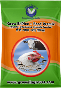 Grow B-Plex – Feed Premix