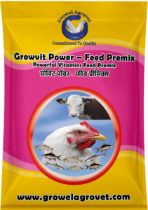 Vitamins Feed Premix for Broiler, Breeder & Layer Poultry